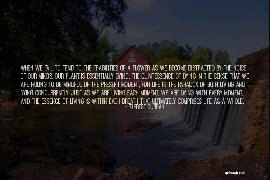 Life As A Flower Quotes By Forrest Curran Life As A Flower Quotes By Forrest Curran