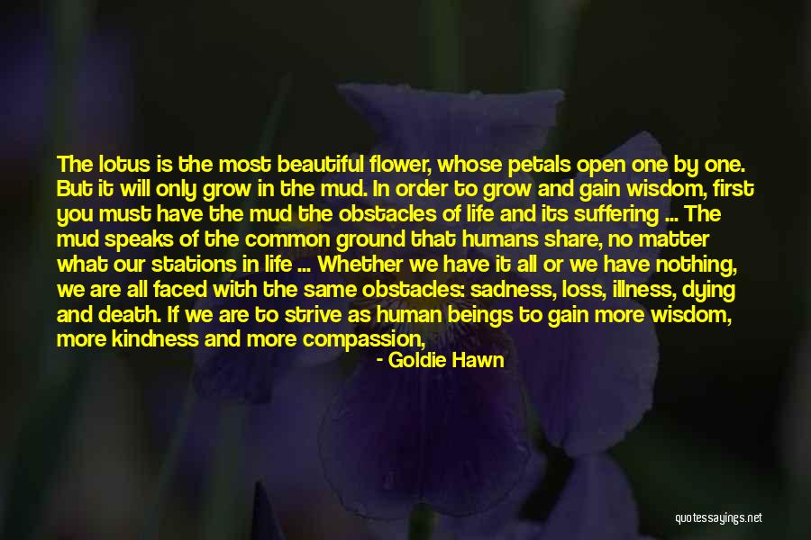 Life As A Flower Quotes By Goldie Hawn Life As A Flower Quotes By Goldie Hawn