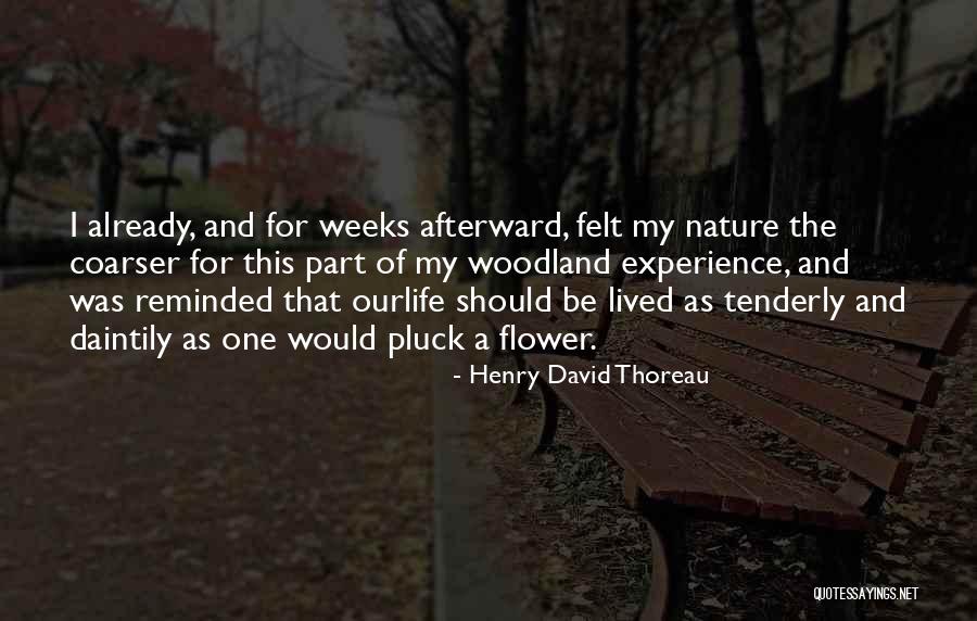 Life As A Flower Quotes By Henry David Thoreau Life As A Flower Quotes By Henry David Thoreau