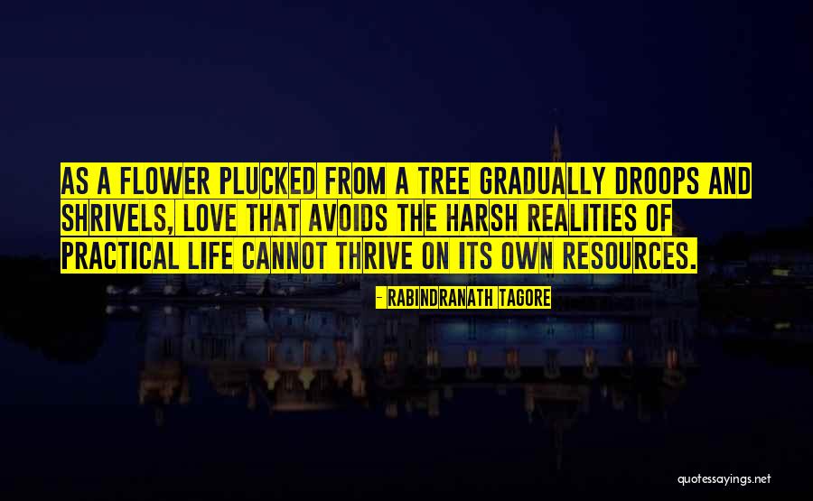 Life As A Flower Quotes By Rabindranath Tagore Life As A Flower Quotes By Rabindranath Tagore
