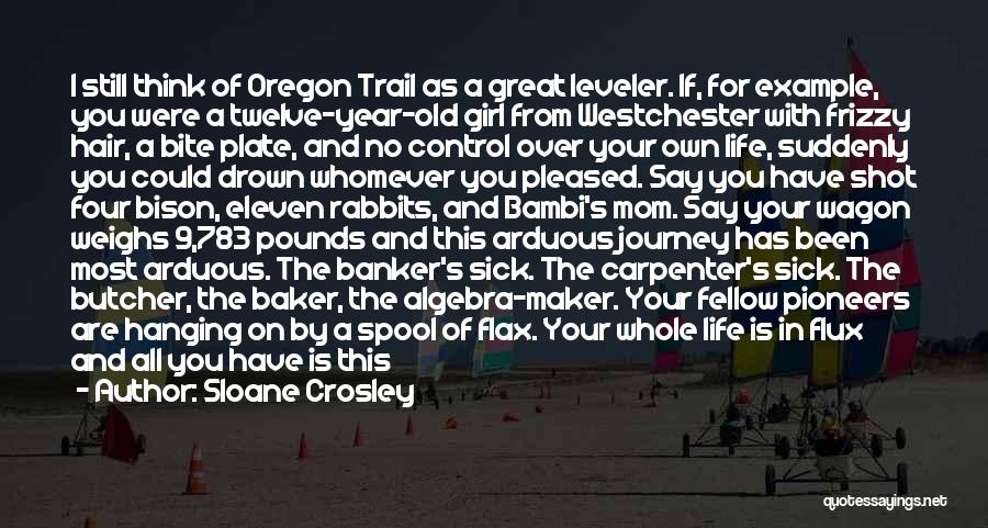 Life As A Journey Quotes By Sloane Crosley