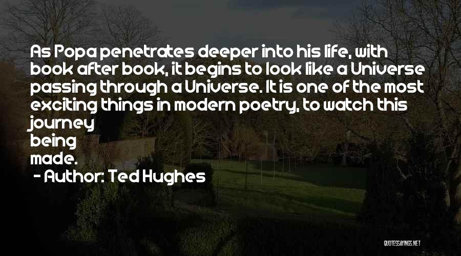Life As A Journey Quotes By Ted Hughes