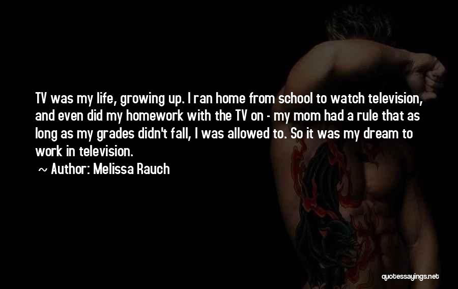 Life As A Mom Quotes By Melissa Rauch