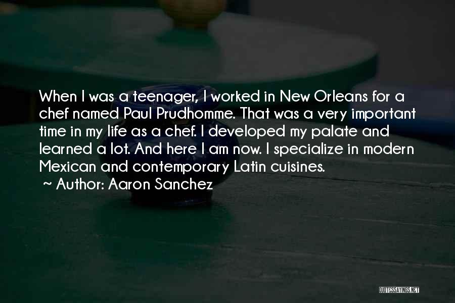 Life As A Teenager Quotes By Aaron Sanchez
