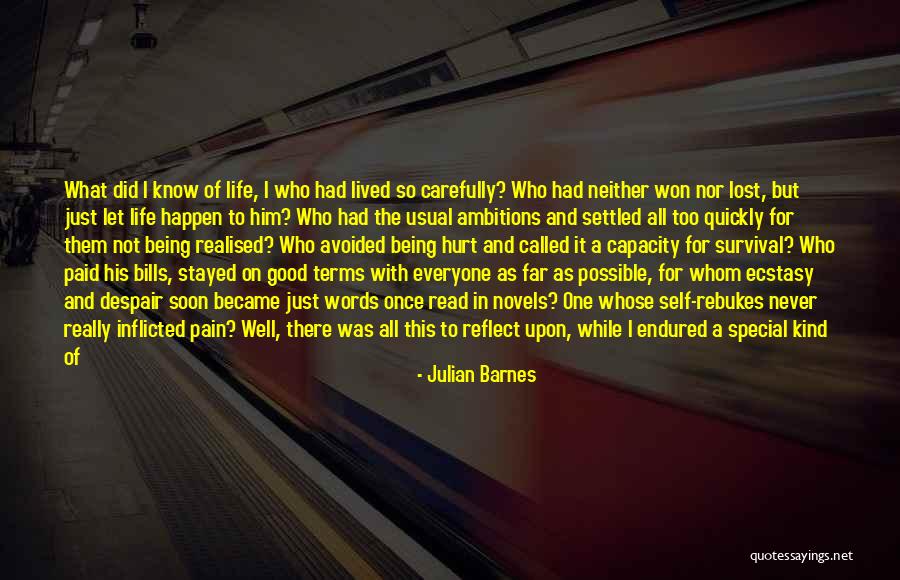 Life As Usual Quotes By Julian Barnes