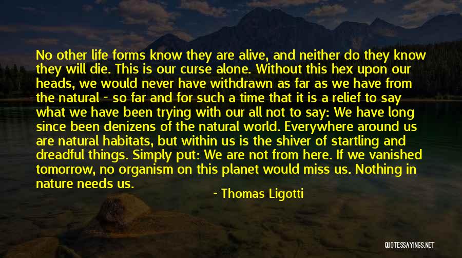 Life As We Know It Quotes By Thomas Ligotti