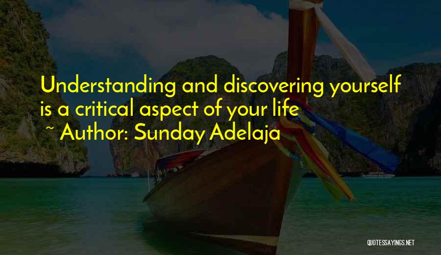 Life Aspect Quotes By Sunday Adelaja