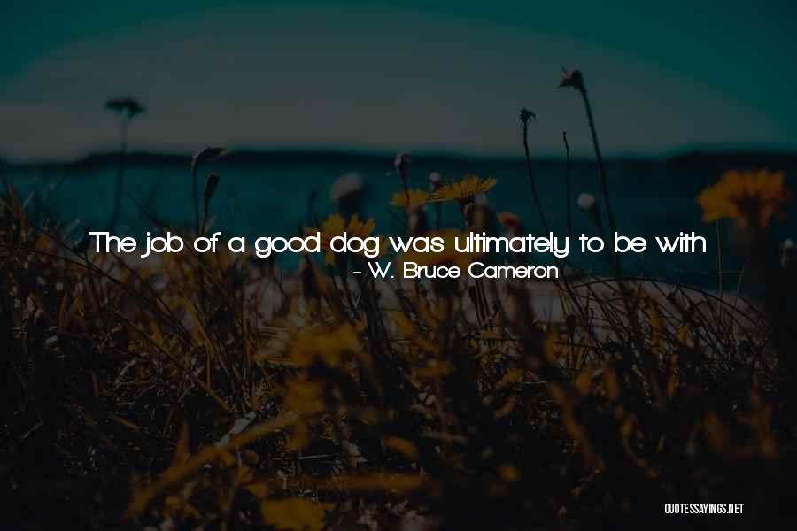 Life Assurance Quotes By W. Bruce Cameron Life Assurance Quotes By W. Bruce Cameron