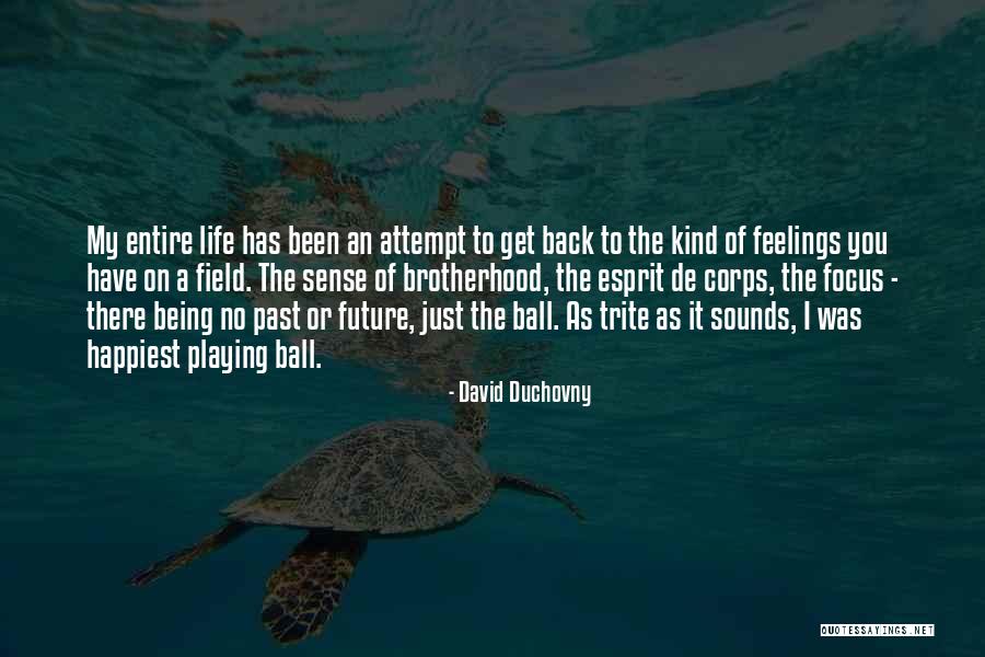 Life Attempt Quotes By David Duchovny