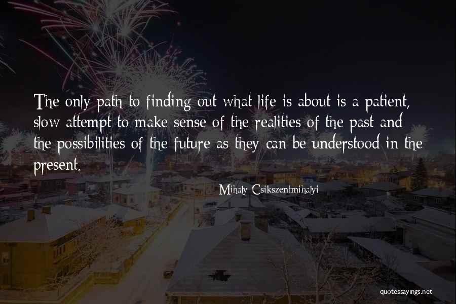 Life Attempt Quotes By Mihaly Csikszentmihalyi