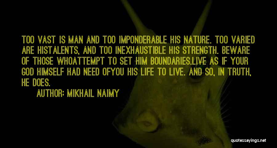 Life Attempt Quotes By Mikhail Naimy