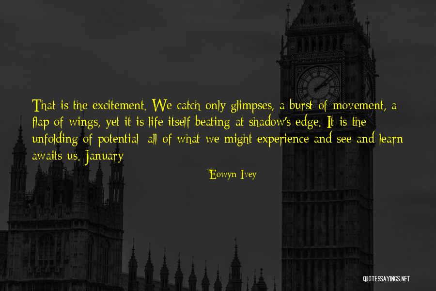 Life Awaits Quotes By Eowyn Ivey Life Awaits Quotes By Eowyn Ivey