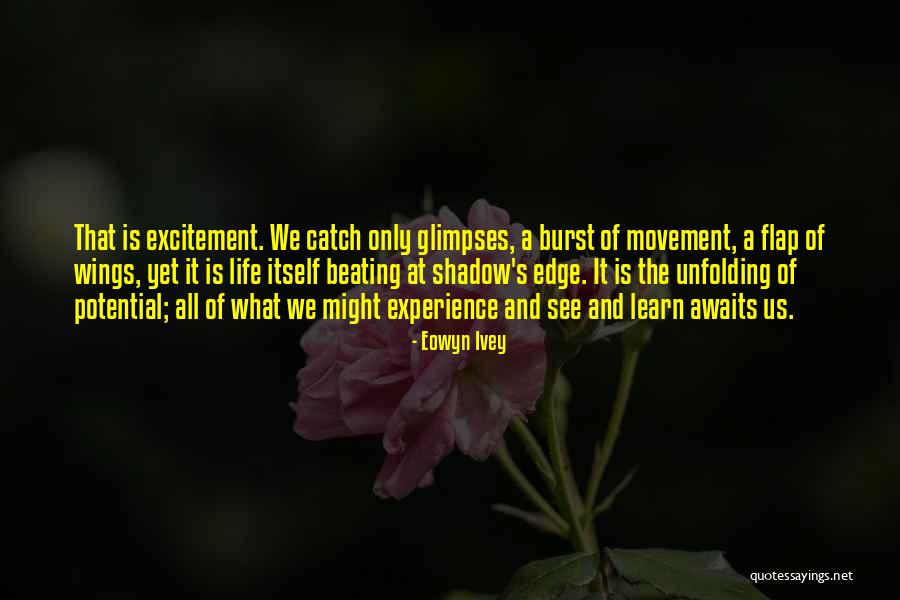 Life Awaits Quotes By Eowyn Ivey Life Awaits Quotes By Eowyn Ivey