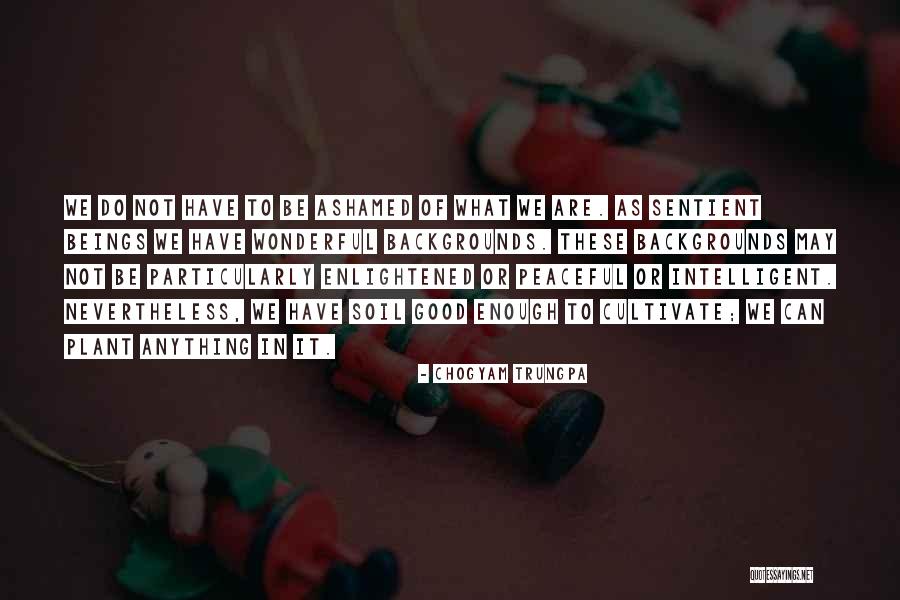 Life Backgrounds Quotes By Chogyam Trungpa Life Backgrounds Quotes By Chogyam Trungpa