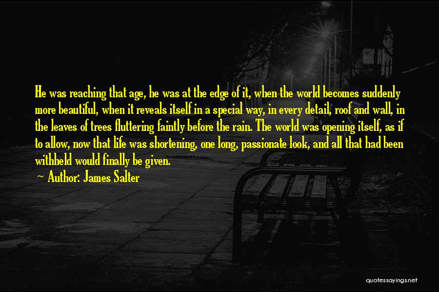 Life Becomes More Beautiful Quotes By James Salter