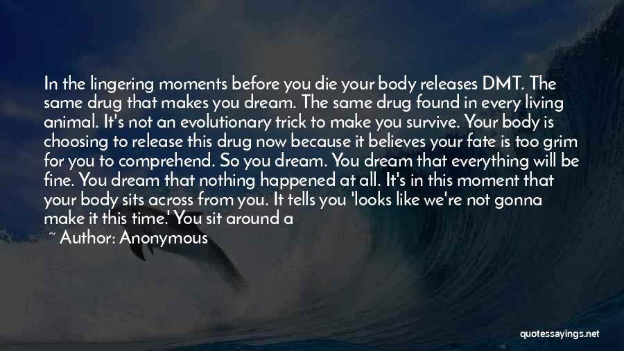 Life Before Your Eyes Quotes By Anonymous