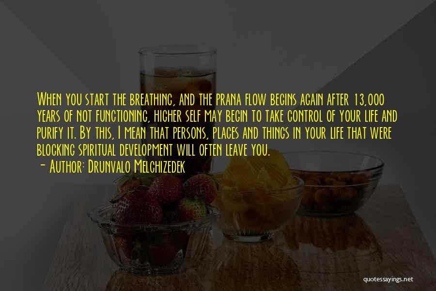 Life Begins Again Quotes By Drunvalo Melchizedek