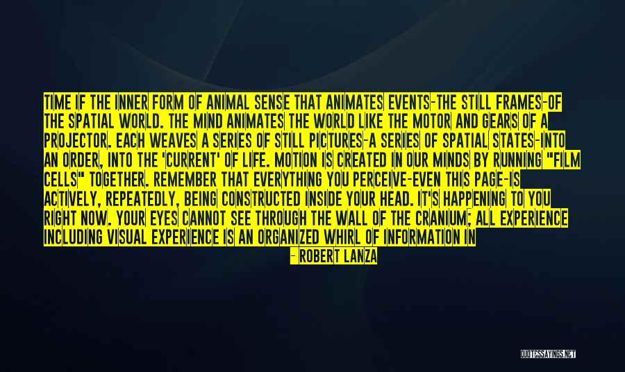Life Being A Movie Quotes By Robert Lanza Life Being A Movie Quotes By Robert Lanza