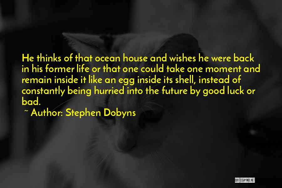 Life Being Good And Bad Quotes By Stephen Dobyns