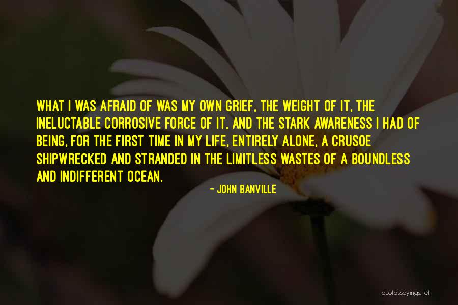 Life Being Limitless Quotes By John Banville Life Being Limitless Quotes By John Banville