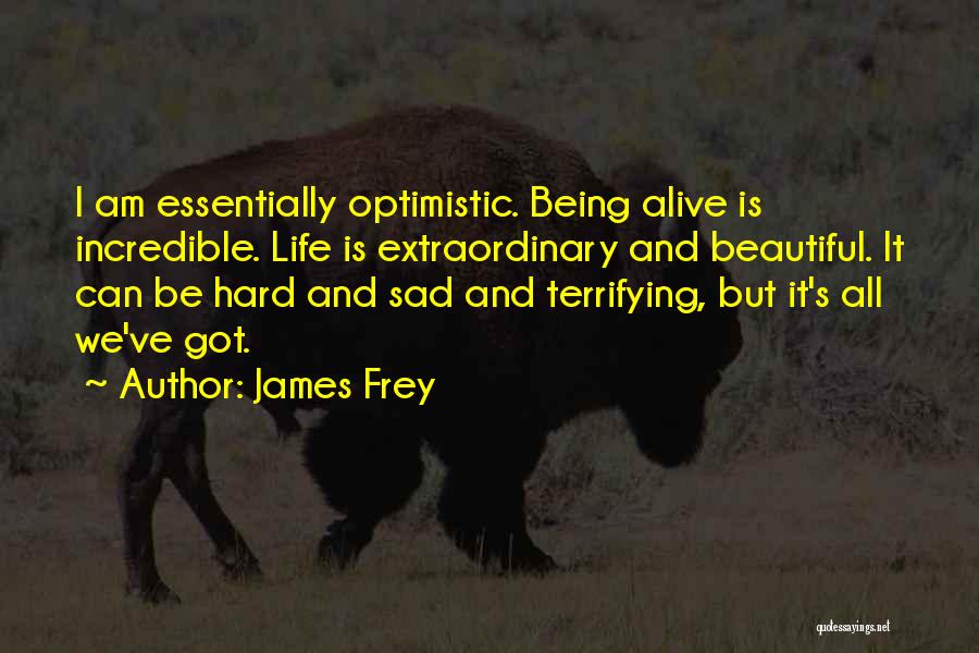 Life Being Sad Quotes By James Frey