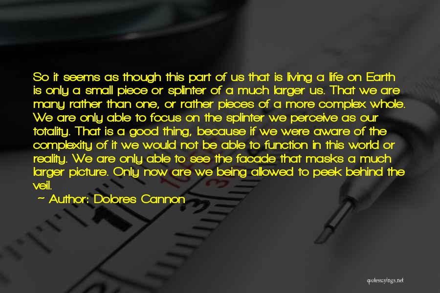 Life Being So Good Quotes By Dolores Cannon