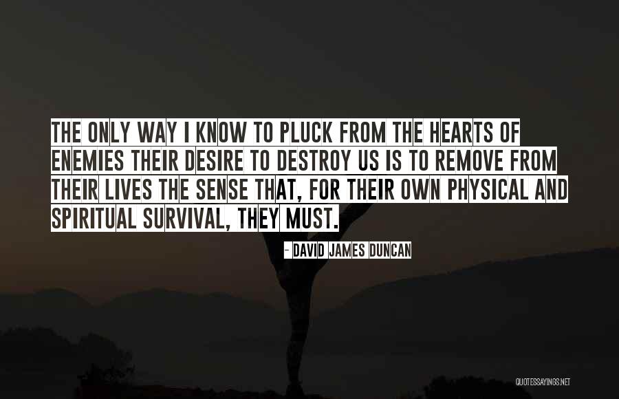 Life Being Surreal Quotes By David James Duncan Life Being Surreal Quotes By David James Duncan