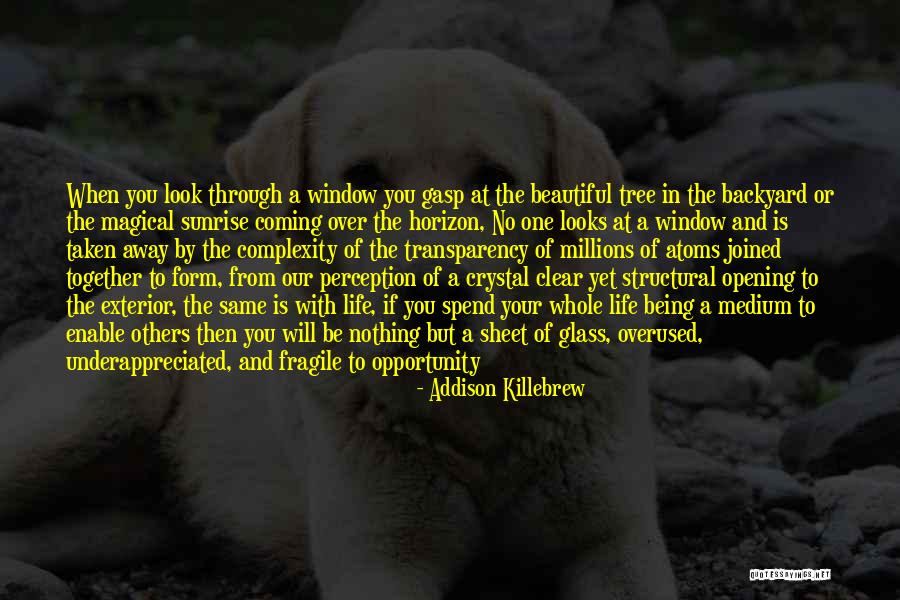 Life Being Taken Too Soon Quotes By Addison Killebrew Life Being Taken Too Soon Quotes By Addison Killebrew