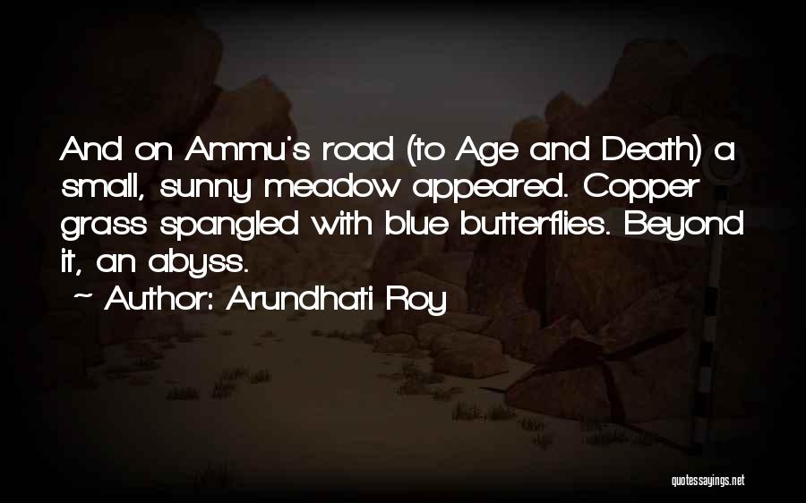 Life Beyond Death Quotes By Arundhati Roy