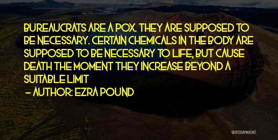 Life Beyond Death Quotes By Ezra Pound