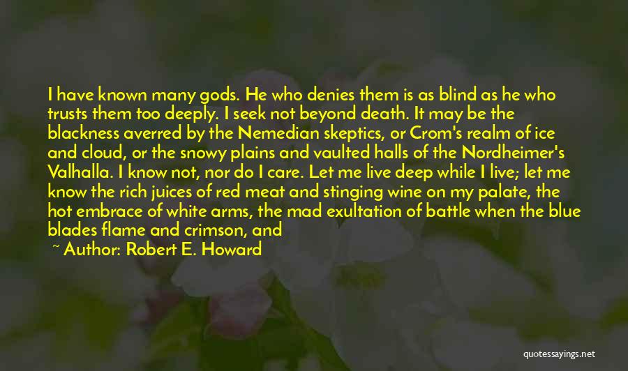 Life Beyond Death Quotes By Robert E. Howard