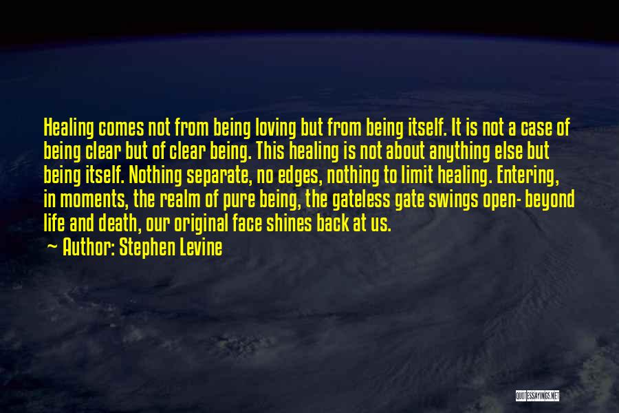 Life Beyond Death Quotes By Stephen Levine