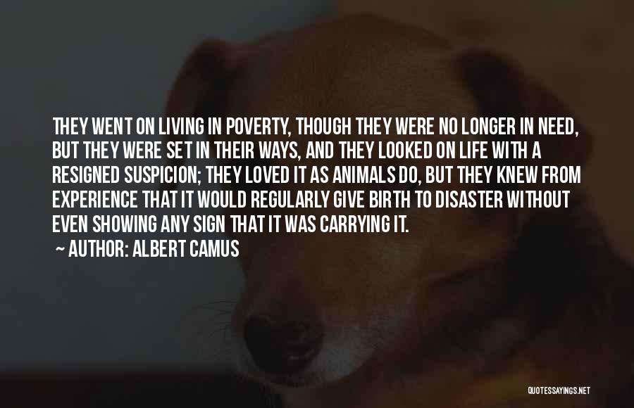 Life Birth Quotes By Albert Camus