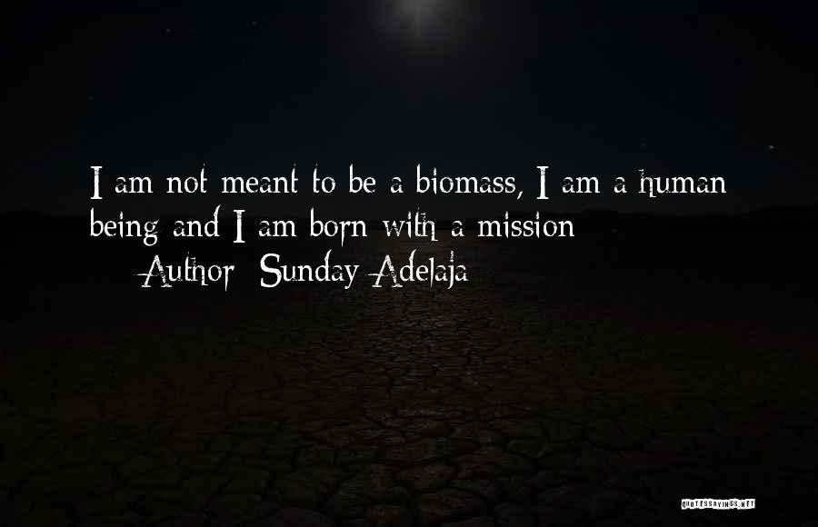 Life Birth Quotes By Sunday Adelaja