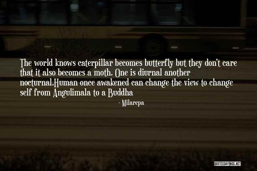 Life Buddha Quotes By Milarepa Life Buddha Quotes By Milarepa