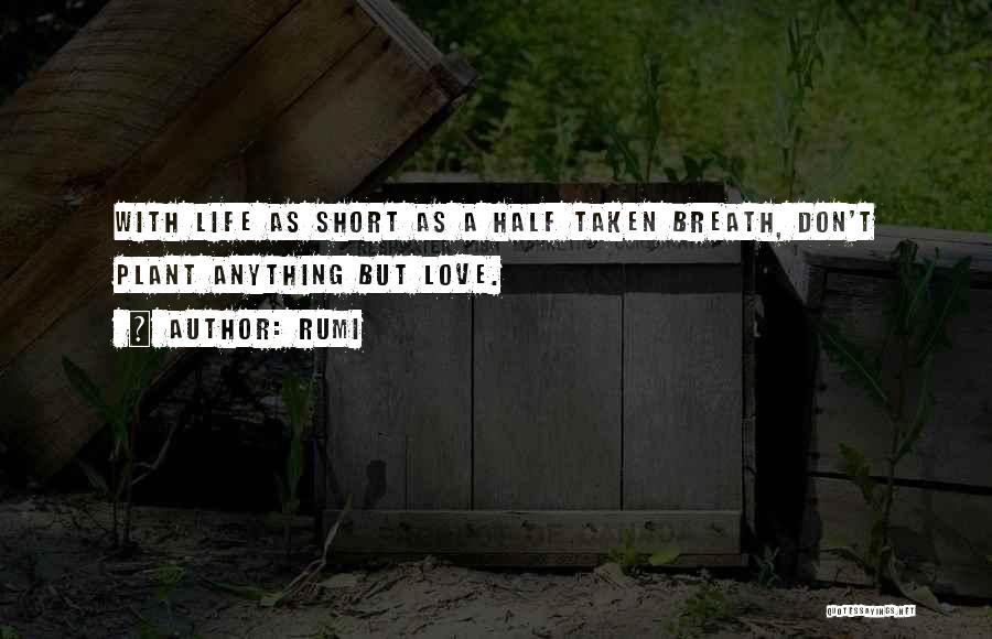 Life But Short Quotes By Rumi
