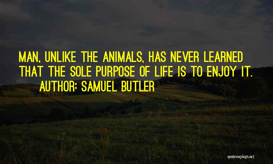 Life Butler Quotes By Samuel Butler