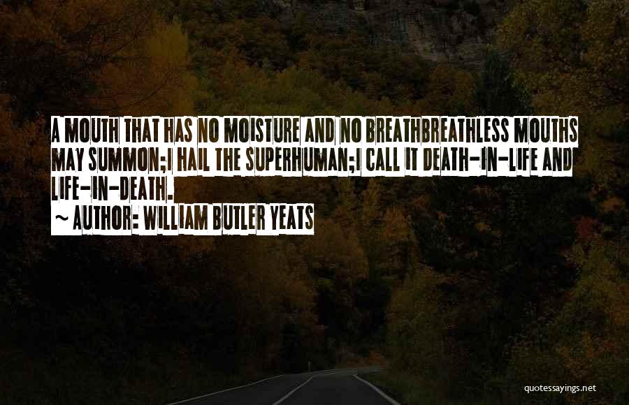 Life Butler Quotes By William Butler Yeats