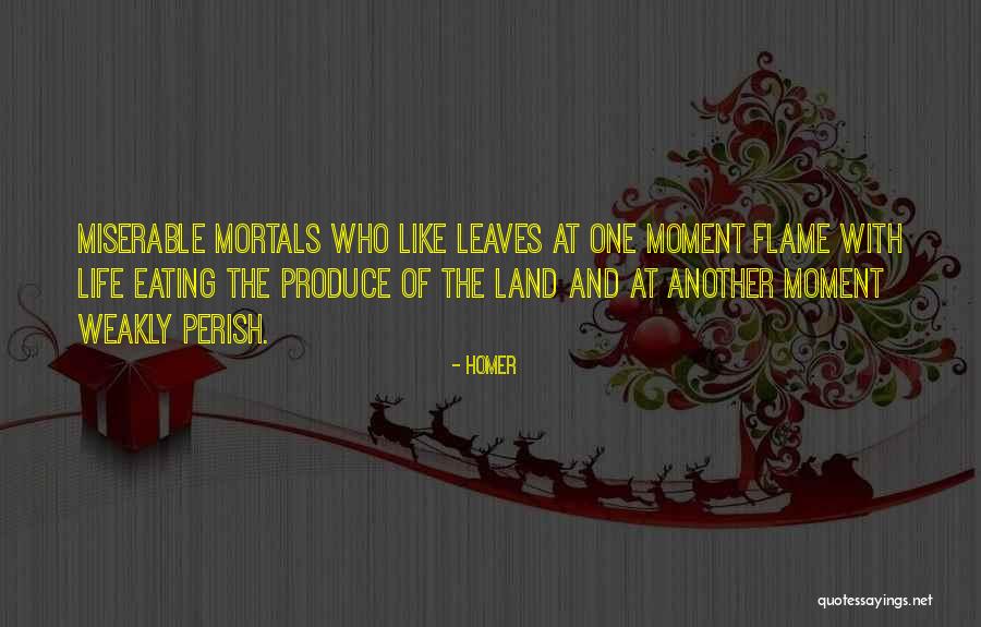 Life By Homer Quotes By Homer Life By Homer Quotes By Homer