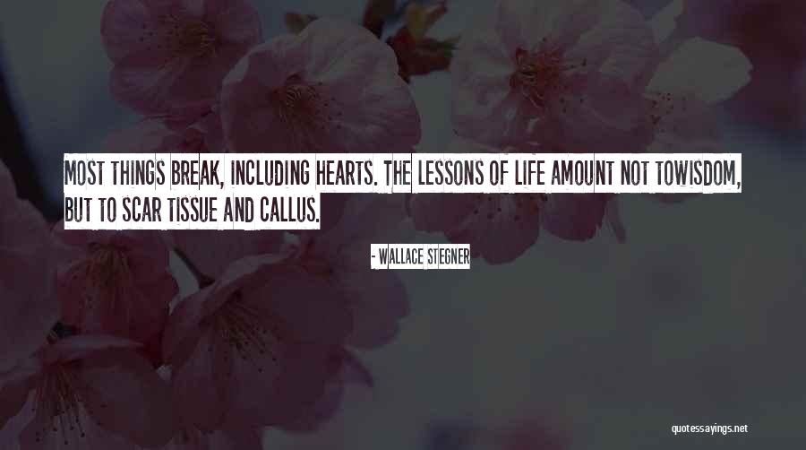 Life Callus Quotes By Wallace Stegner Life Callus Quotes By Wallace Stegner