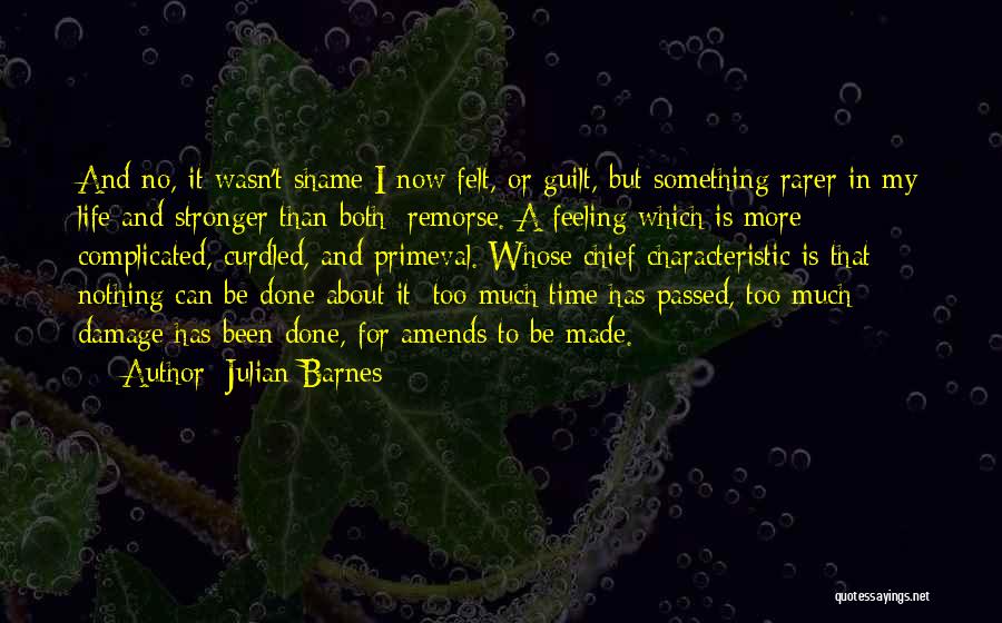 Life Can Be Complicated Quotes By Julian Barnes