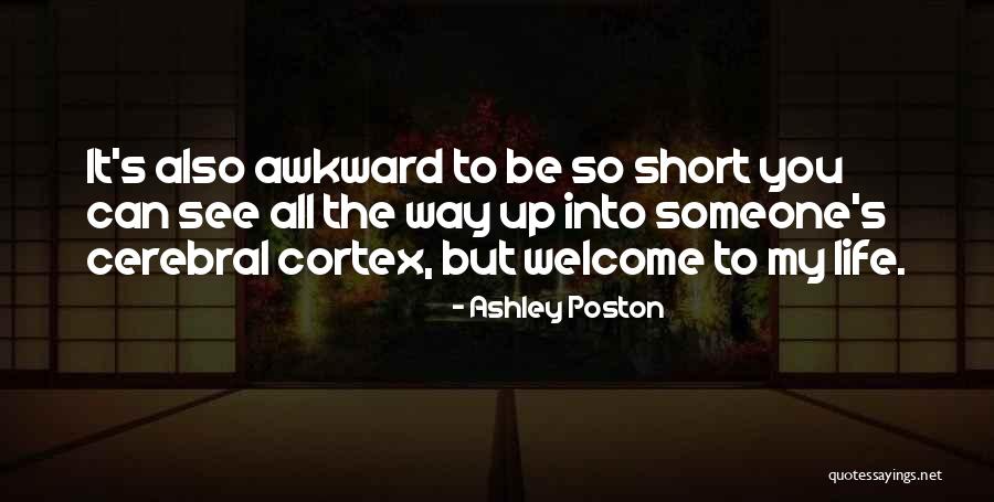 Life Can Be Short Quotes By Ashley Poston Life Can Be Short Quotes By Ashley Poston