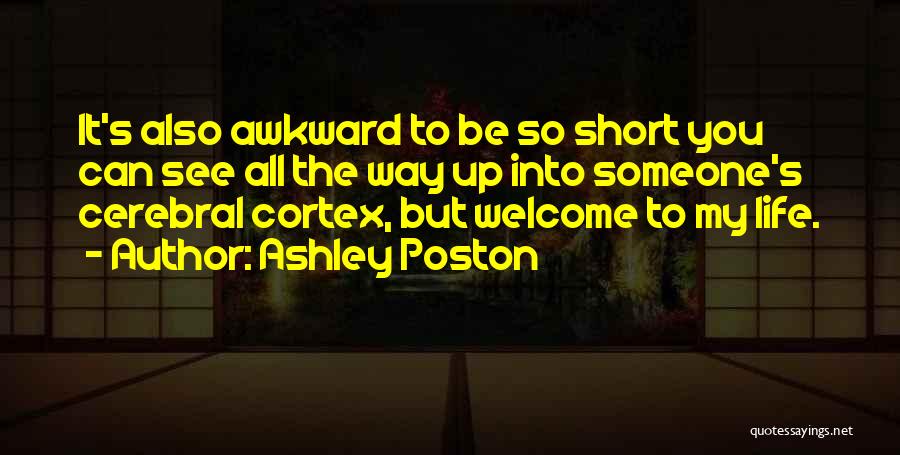 Life Can Be So Short Quotes By Ashley Poston