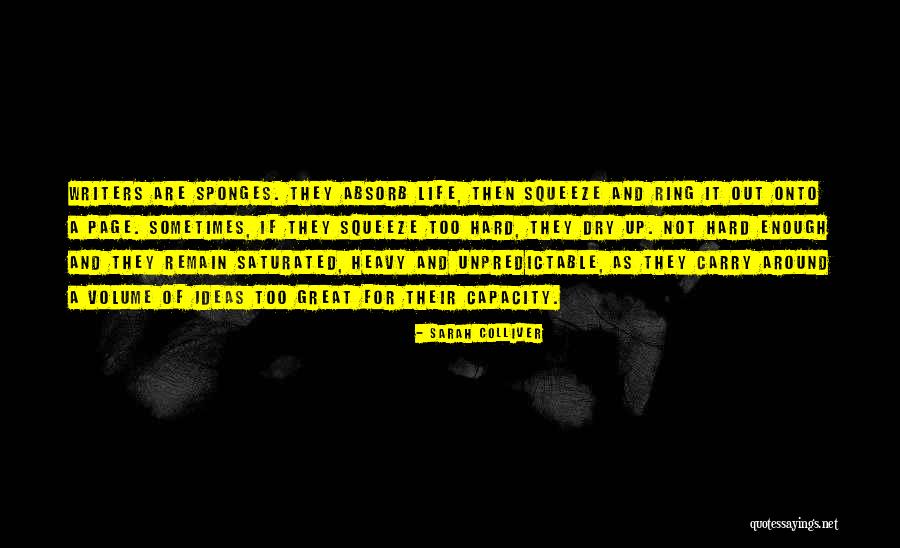 Life Can Be So Unpredictable Quotes By Sarah Colliver