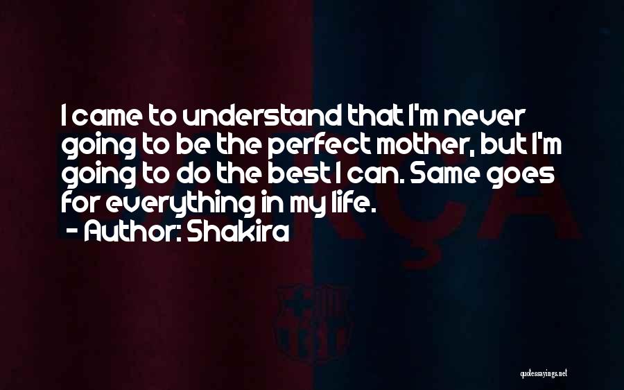 Life Can Never Be Perfect Quotes By Shakira