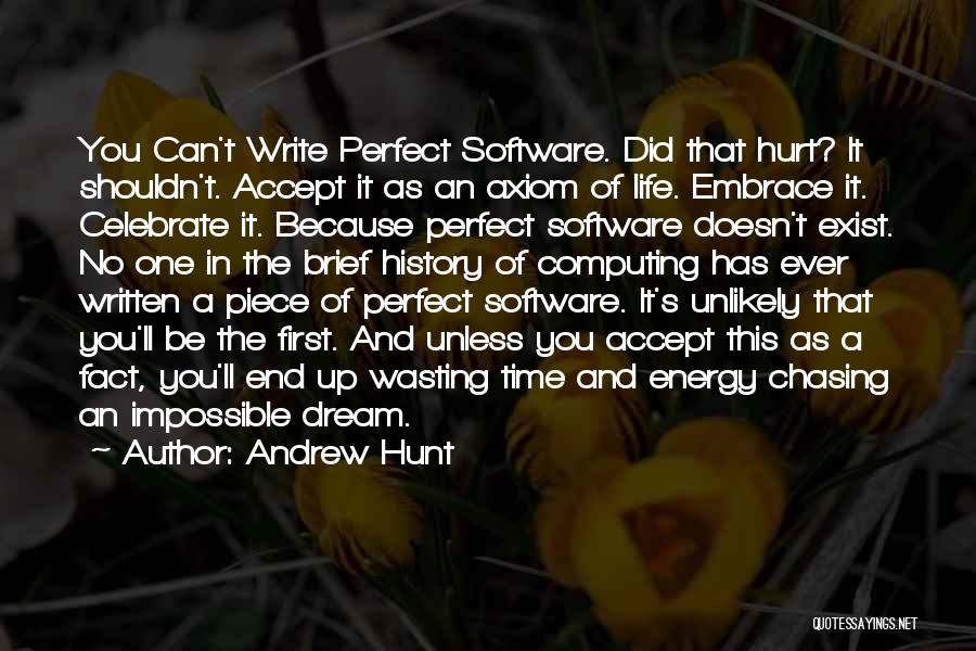 Life Can't Be Perfect Quotes By Andrew Hunt