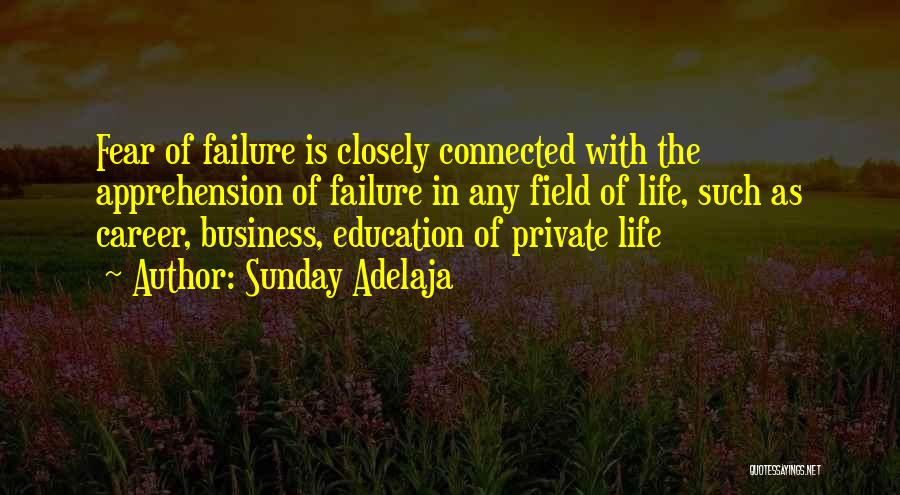 Life Career Quotes By Sunday Adelaja