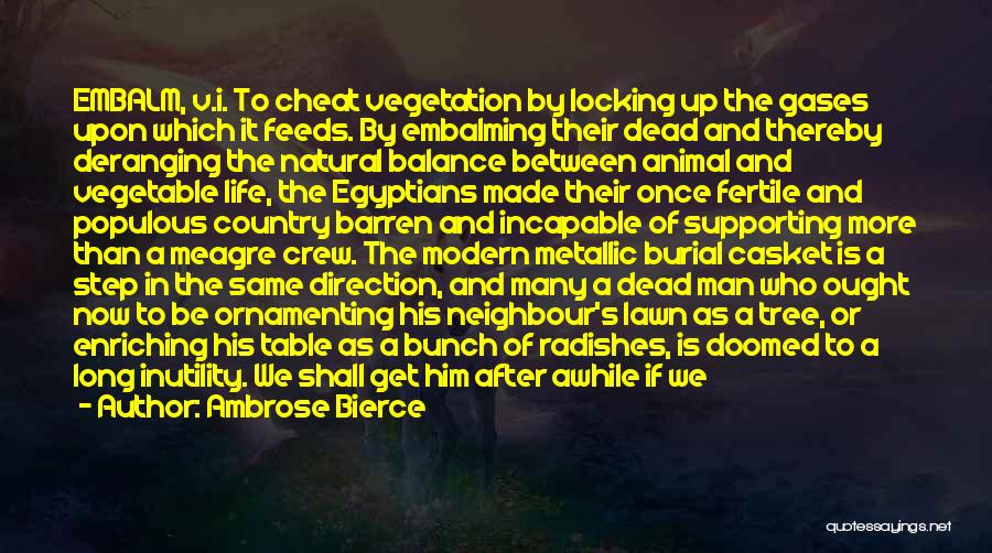 Life Casket Quotes By Ambrose Bierce
