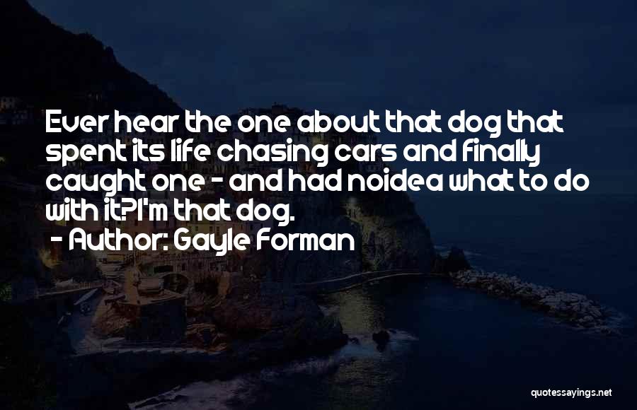 Life Chasing Quotes By Gayle Forman