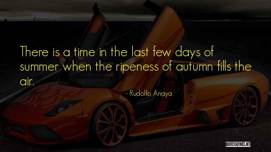 Life Cherrybam Quotes By Rudolfo Anaya Life Cherrybam Quotes By Rudolfo Anaya